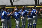 Softball vs Springfield  Wheaton College Softball vs Springfield College. - Photo by: KEITH NORDSTROM : Wheaton, Baseball